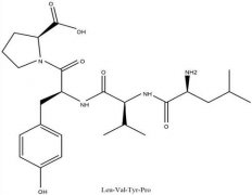 多肽的副作用是什么？